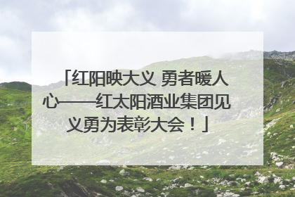 红阳映大义 勇者暖人心——红太阳酒业集团见义勇为表彰大会！